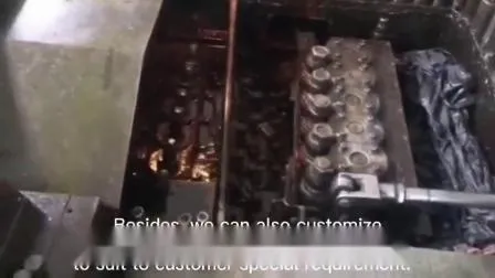 Filtro de carburo de silicio Sefu, regeneración de China en fábrica de motores diésel, máquina de limpieza de alta precisión, filtro de partículas diésel